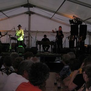 Kreslin_koncert__4._7._2010_027.jpg