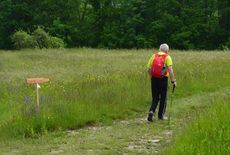 The March \"Kje so tiste stezice\"